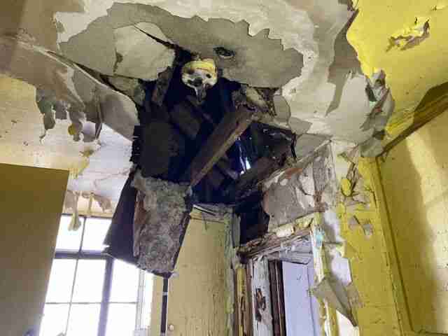 Testing again(19).jpg